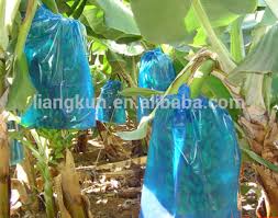 agriculture poly bags